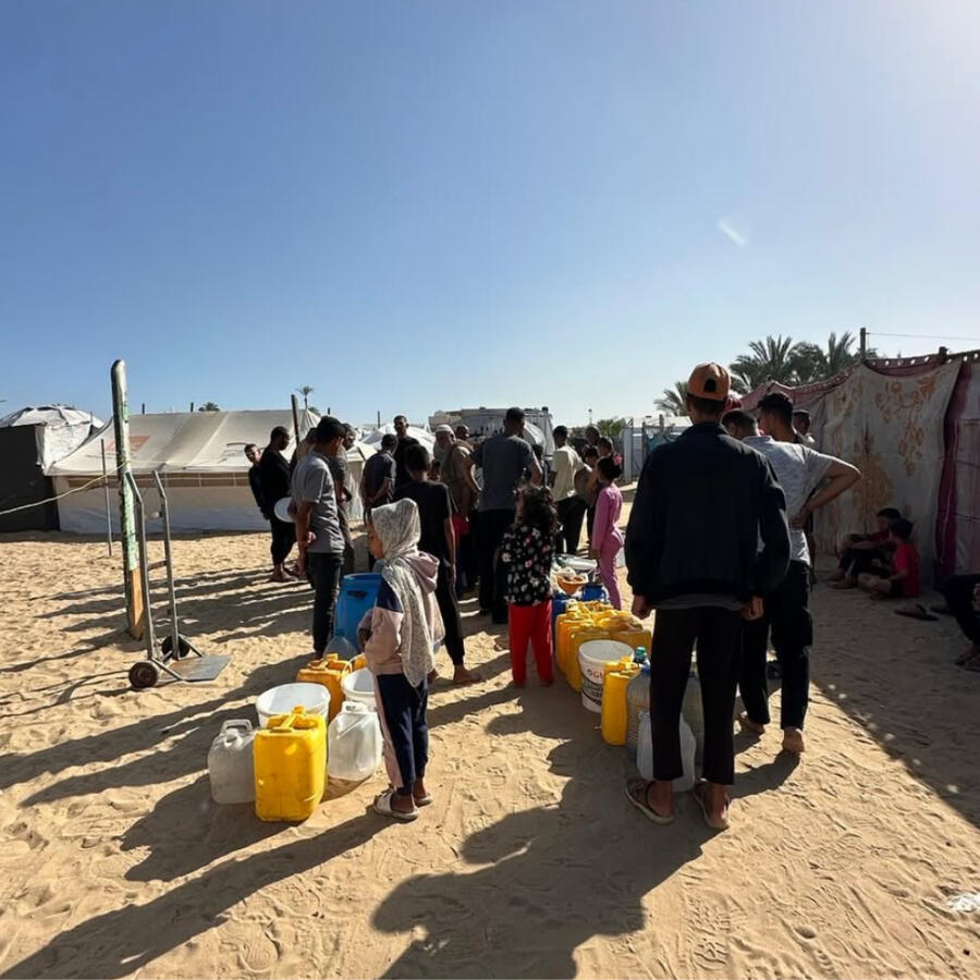 Seven Sisters Collective